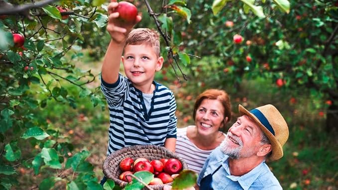 Premium Apple Potting Soil Mix - Optimal Nutrient-Rich Blend for Thriving and Juicy Apples - 10 Quart