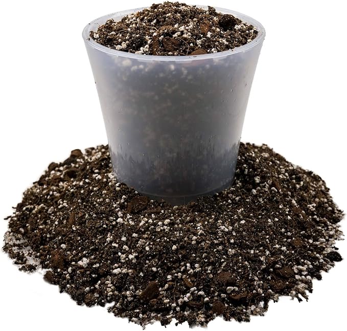 Fiddle Leaf Fig House Plant Soil Premium All Purpose Blend - Peat Moss, New Zealand Bark, Coco Chips and Fibers, Perlite - 5 Quart Bag