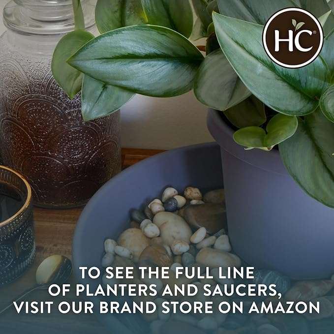 The HC Companies 21 Inch Round Plastic Classic Plant Saucer - Indoor Outdoor Plant Trays for Pots - 21"x21"x3.63" Evergreen