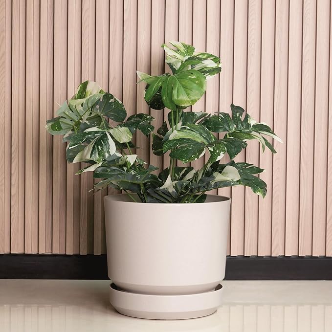 Elly Décor 14 inch Plastic Cylinder Planter Pot with Self-Watering Saucer and Drainage Hole,Lightweight & Extremely Durable, 14"x 14", Ivory
