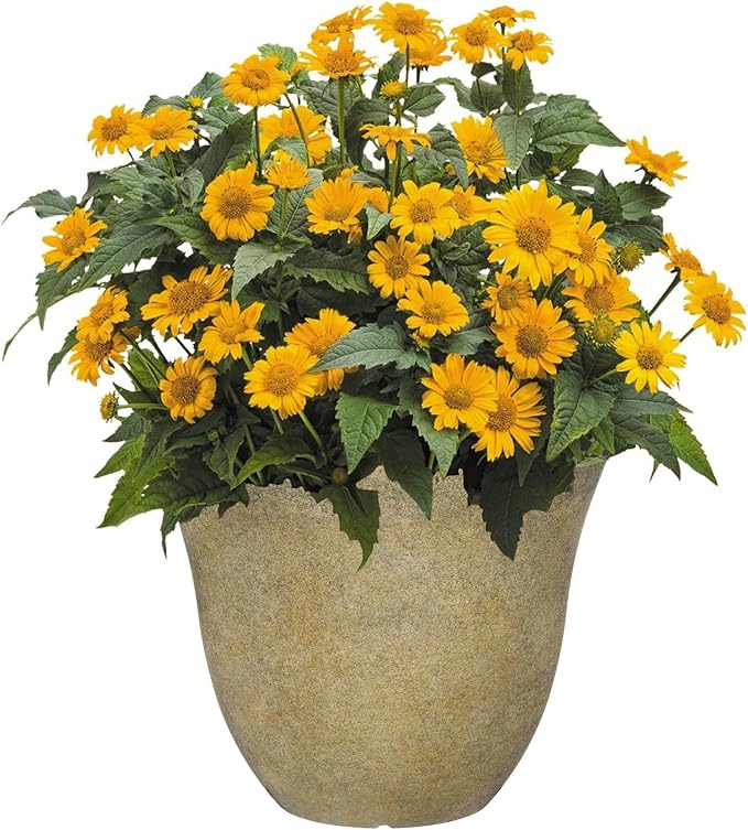Classic Home and Garden Honeysuckle Planter, Patio Pot, 13" Fossil Stone (One Pack)