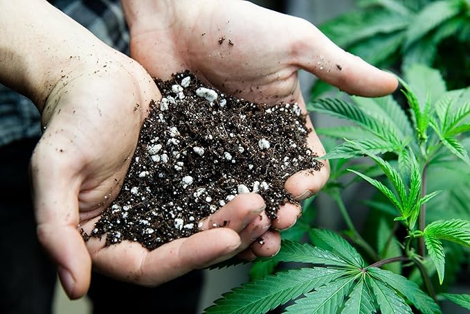 Premium JUST-ADD-Water Potting Soil Mix - Optimal Nutrient-Rich Blend for Thriving and HIGH-Yield Herbal Plants - 1 Quart