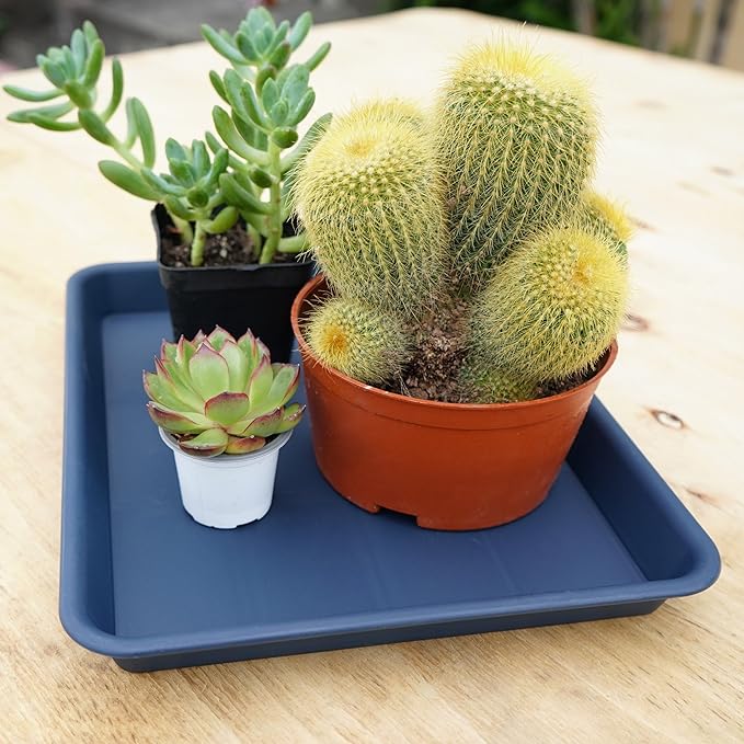 4 Pack Plant Saucer Tray Rectangular, Plant Growing Nursery Trays, Heavy Sturdy Seed Starting Trays, Plant Starter Trays for Indoors No Holes, Seed Starter Growing Tray (17.5"x10.6", Blue)