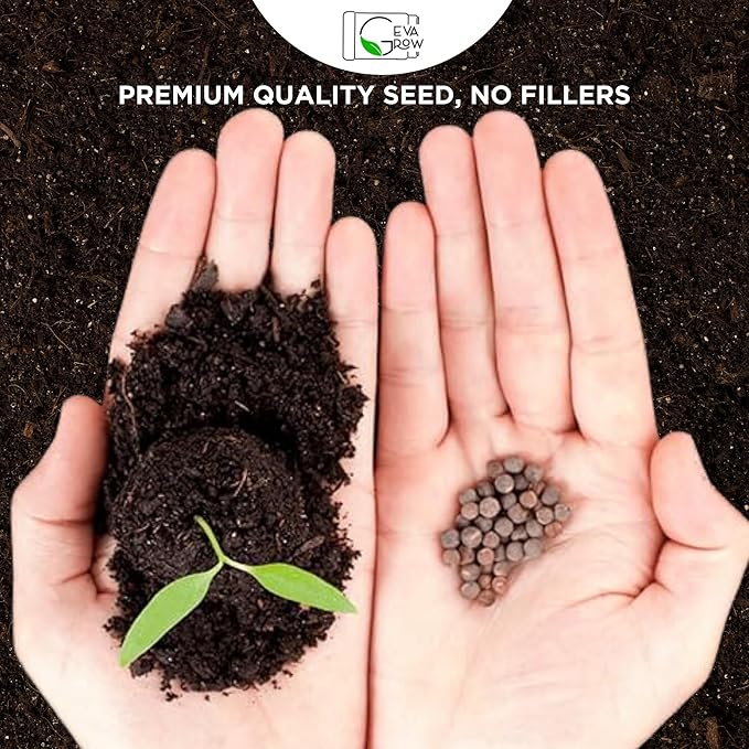 Wildflower Seed s – Perennial Flower Seeds Mix to Plant Anywhere, by Geva Grow | 12-Type Beautiful Perennial Wildflower Seeds Bulk 90,000+ Seeds, 2 Ounce, No Messy Packets