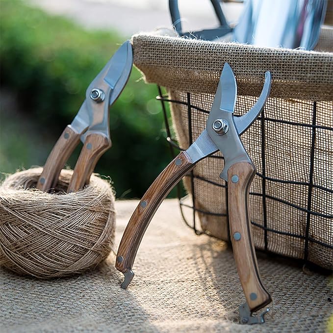BUGUI 8โ Wood Handle Garden Scissors, Set of 2, Includes Bypass Pruning Shears and Long Straight Tip Clippers, Premium Gardening Tools with Precision-Ground SK-5 Steel Blade