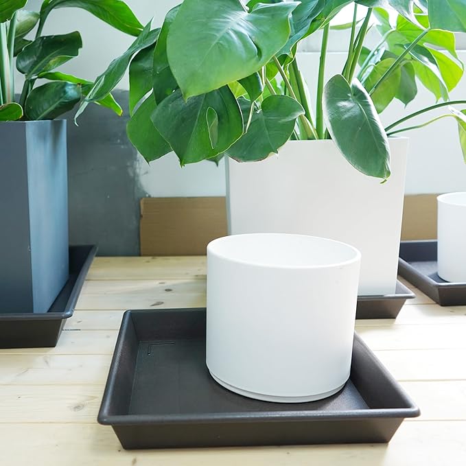 Square Plant Saucer 14 Inch 2 Pack,Plant Stand Plant Trays for Pots Heavy Duty Plastic Plant Saucers for Indoors Outdoors, Flower Pot No Holes Plant Lover Gardening Gifts