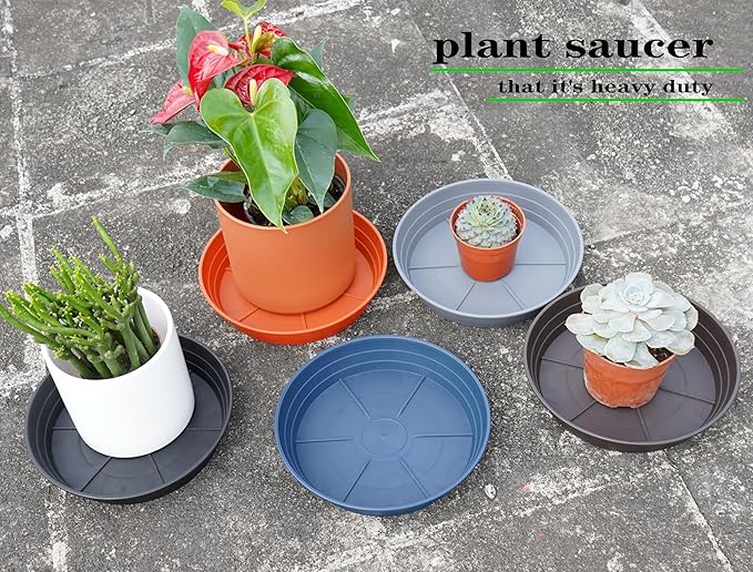 Plant Saucer 6 Inch 4 Pack 6 8 10 12 14 16 18 20 25, Plastic Plant Trays for Pots,Extra-Deep Plant Water Dray Tray, Bird Bath Bowl, Heavy Flower Plant saucers Indoors and Outdoor No Holes 6in-4 brown