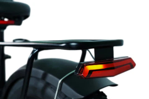 Bee Adventurer X2 Soft Tail Dual Motors Electric Bike