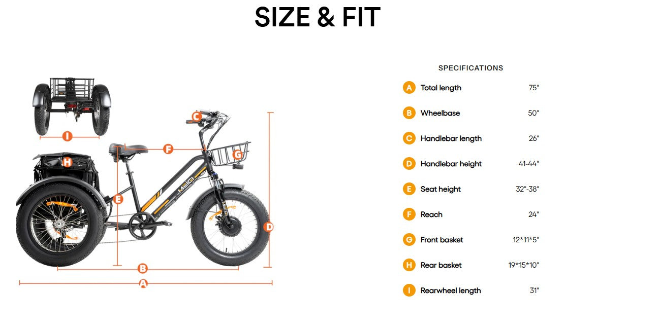 ZEUS 3 Wheel Fat Tire Electric Trike by DW Meigi