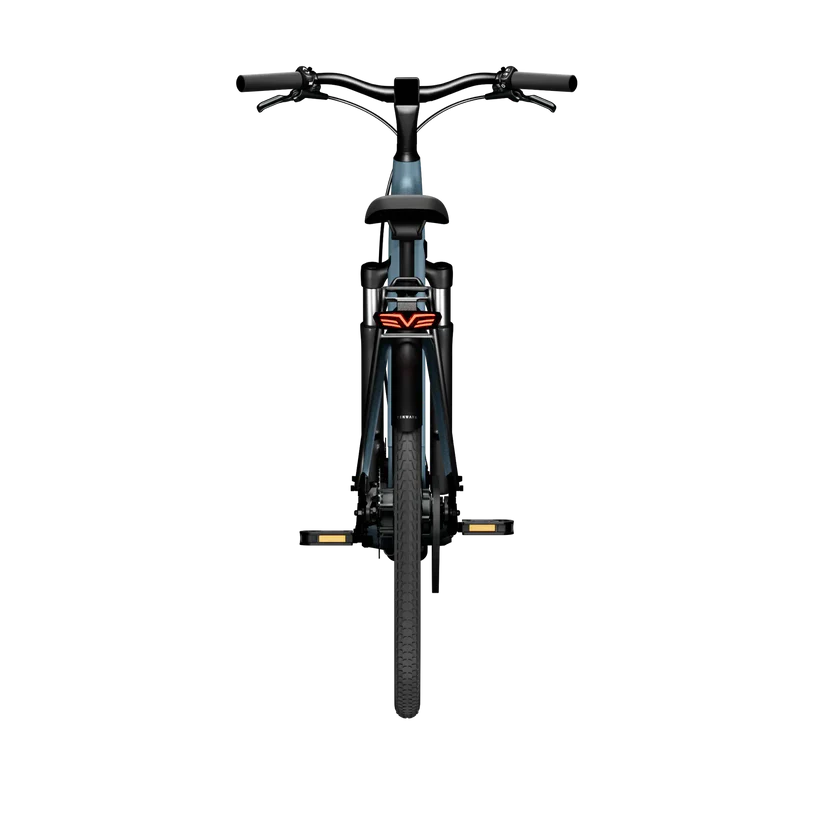 TENWAYS CGO800S Electric Bike