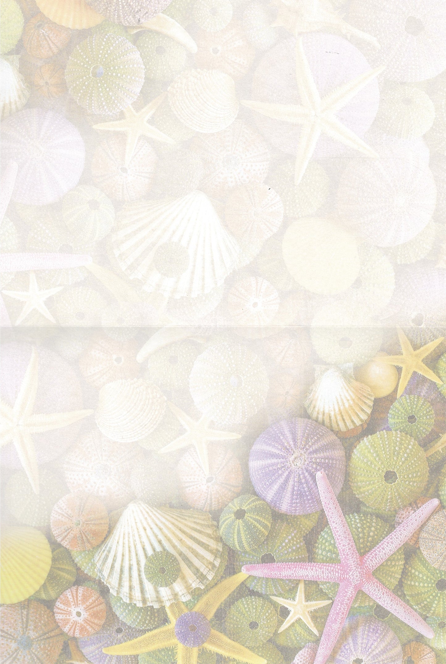 Ocean Treasures Greeting Card - Blank Card