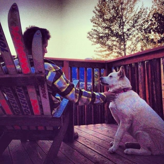 Colorado Ski Furniture Sentimental Ski Bench – Made from Old Skis