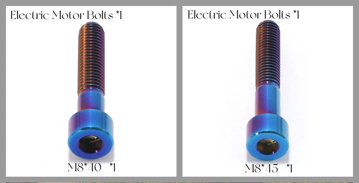 Titanium Complete Screws Bolts For SUR RON Light Bee X