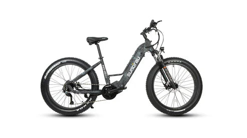 Eunorau FAT-HD 2.0 / Hunter X7 Electric Bike