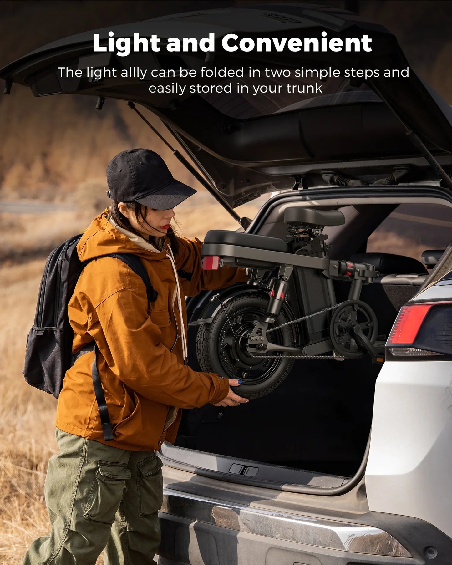 ENGWE T14 Folding Electric Bike