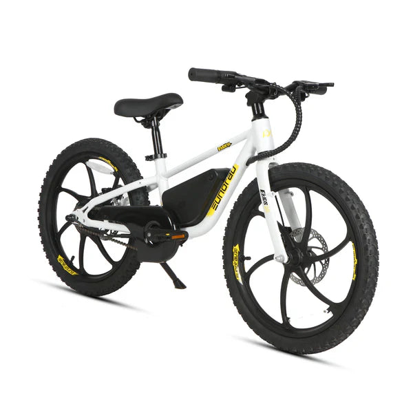 Eunorau EKIDS20 1.0 Electric Bike