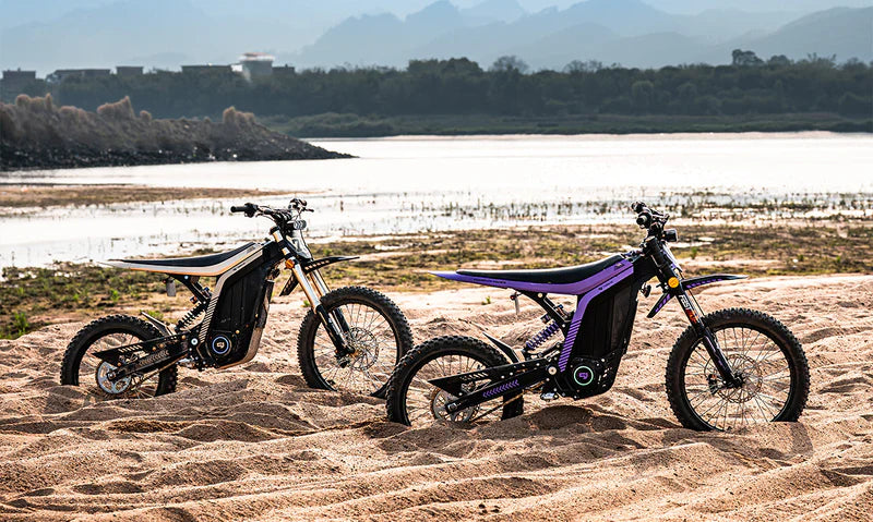 79BIKE Lynx Electric Dirt Bike