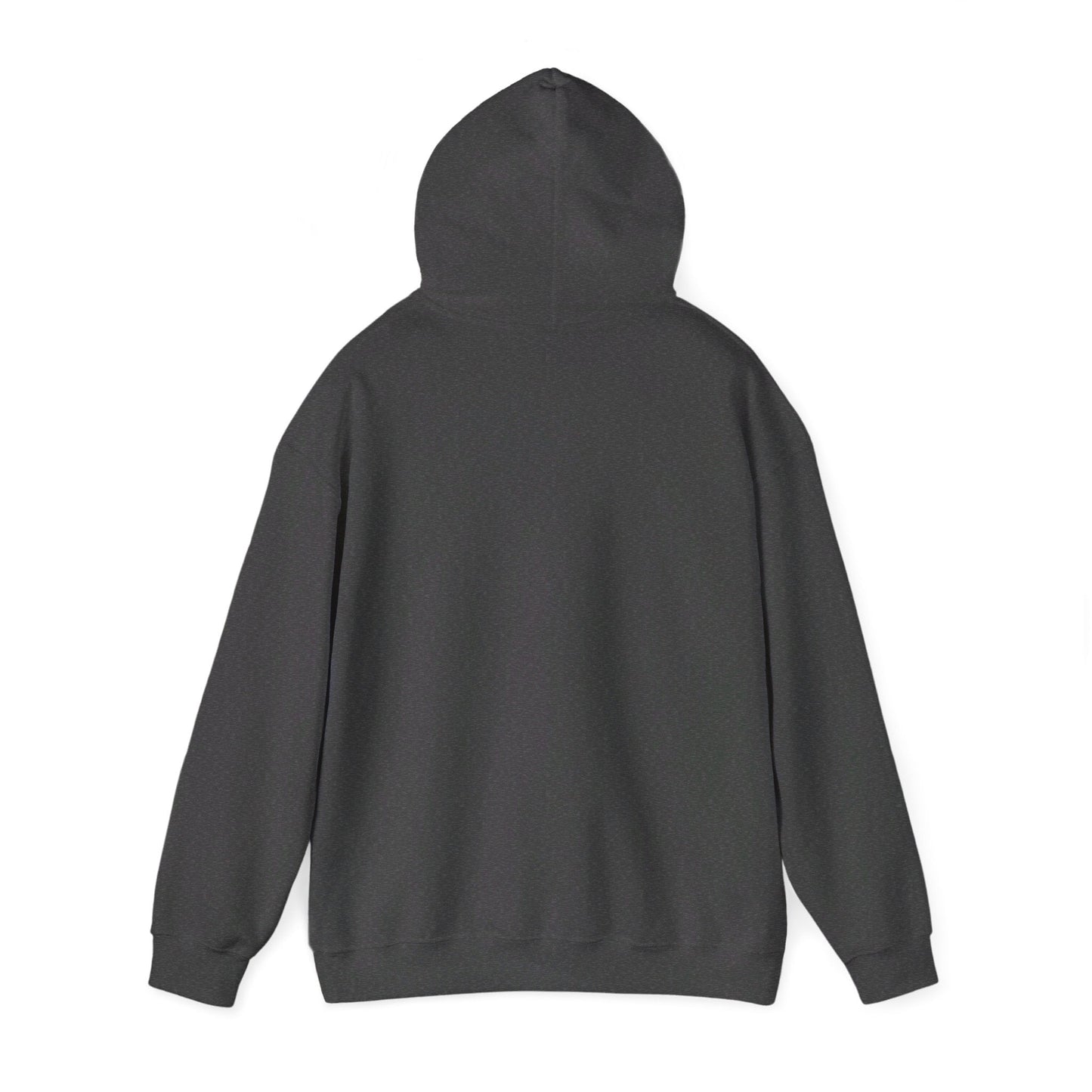 Javier Milei ¡AFUERA! Hoodie - 4LibertyShop.com