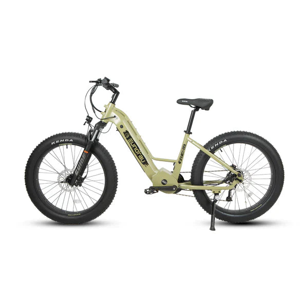 Eunorau FAT-HD 2.0 / Hunter X7 Electric Bike