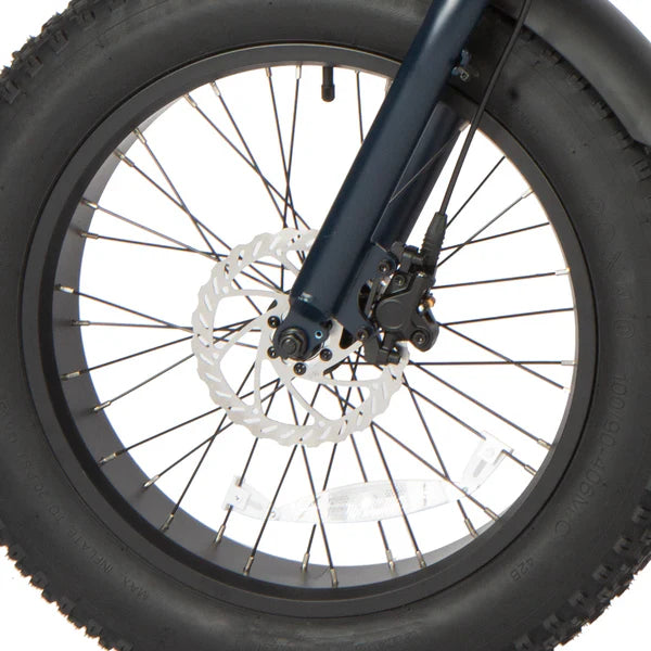 Eunorau E-FAT-STEP Electric Bike