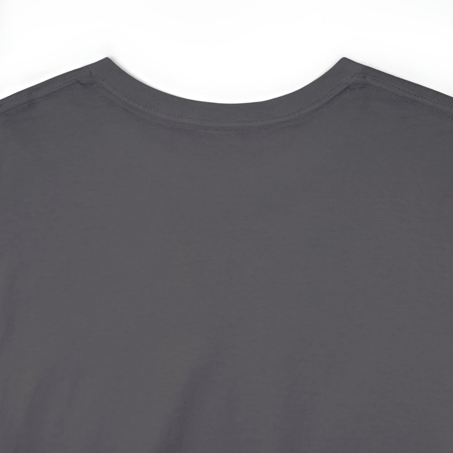 This Shirt Cost 19.99 + Theft Unisex Tee