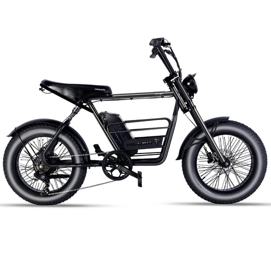 Tracer Verge 20" x 4.0 Wheel 800W Fat Electric Motorbike