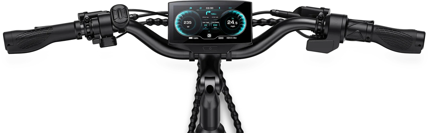 Letrigo Minivan Electric Bike
