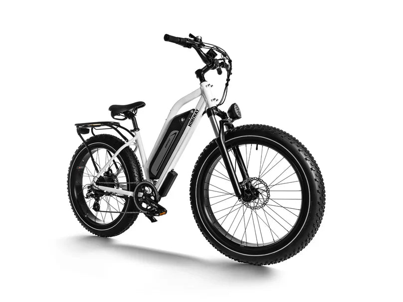 Himiway D3 / Long Range Fat Tire Electric Bike