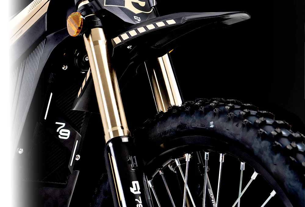79BIKE Lynx Electric Dirt Bike