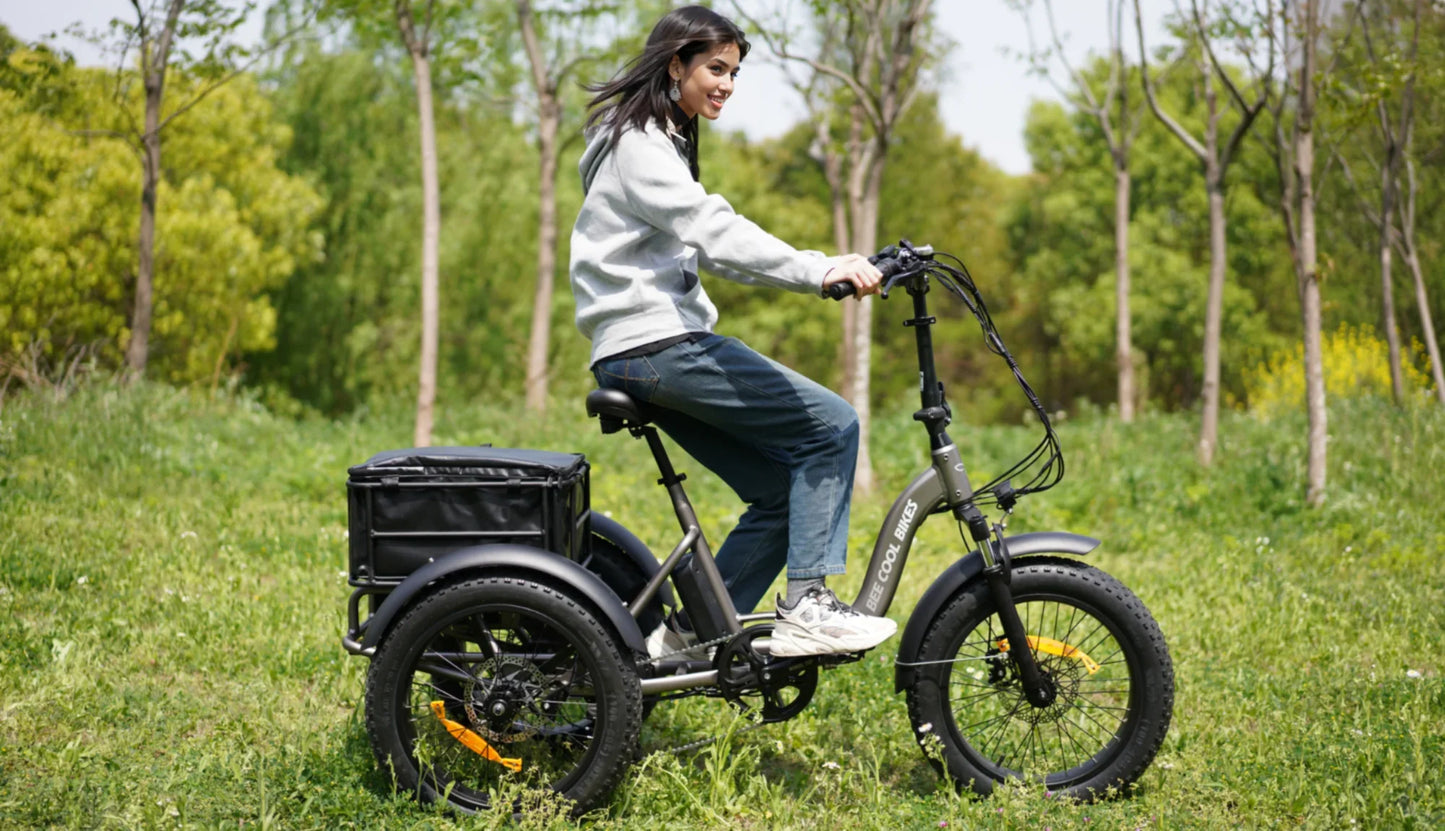 Bee Zipper Foldable Long Range Electric Trike