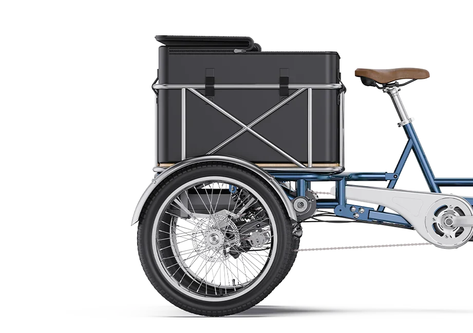 Letrigo Robin Cargo Electric Bike