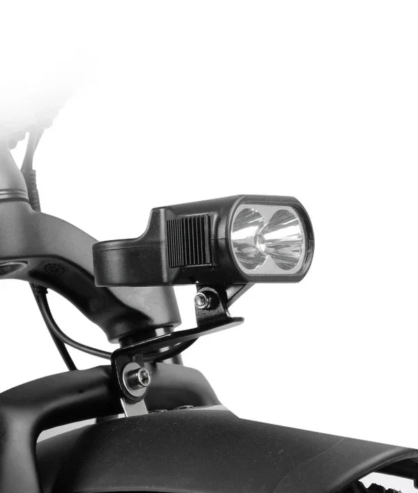 Victrip TITAN S 1000W Long Range E-Bike