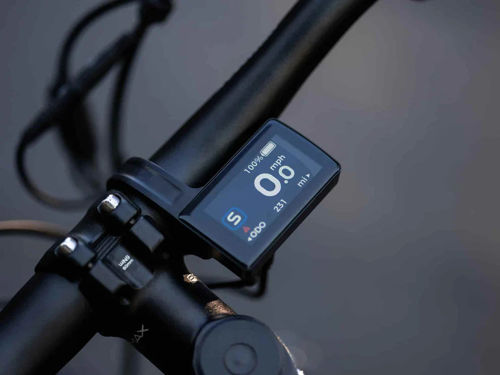 Velowave Forest SM Mountain Electric Bike