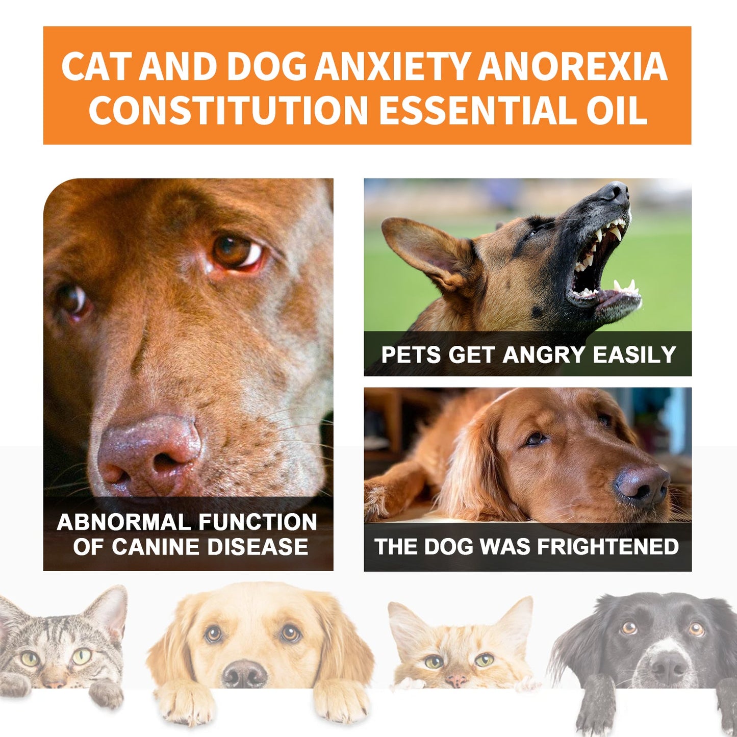 Cat And Dog Care Essence, Pet Cat And Dog Enhance Health Eat Care Sesame Seed Oil Essence
