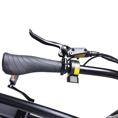 Tracer Chico GT7 750W Stretch Cruiser EBike