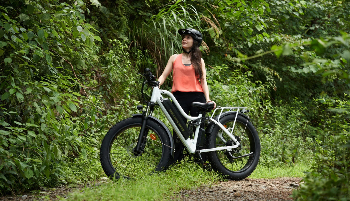 Bee Explorer Soft Tail Long Range Electric Bike