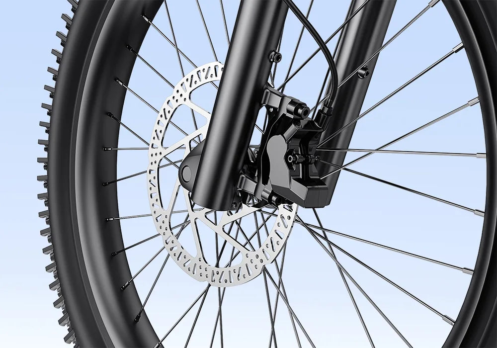 Letrigo Workhorse Electric Bike