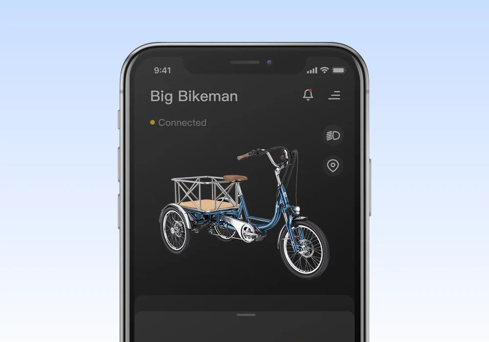 Letrigo Robin Cargo Electric Bike