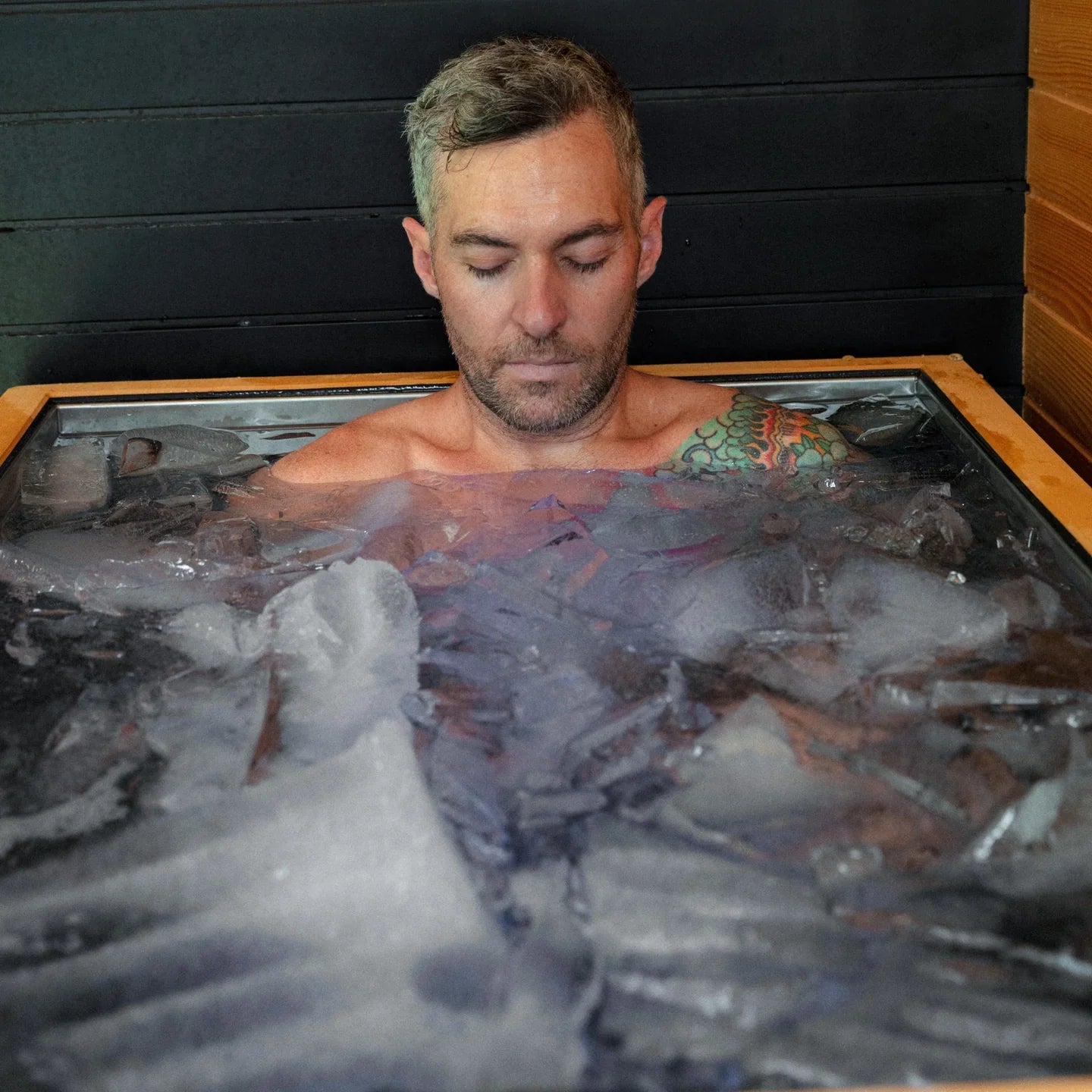 Revive Luxury Cold Plunge