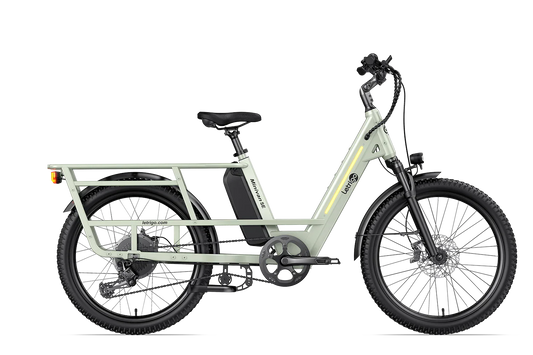 Letrigo Minivan SE Electric Bike