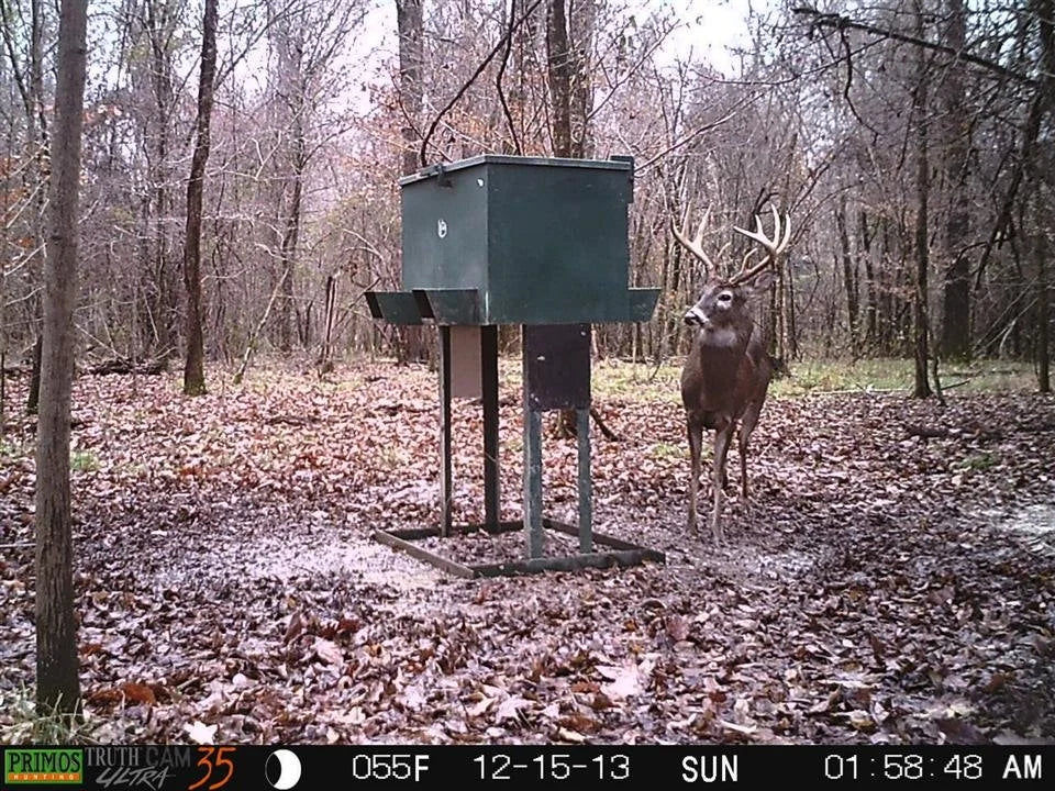 Steel Outdoors 340 LB 4-Chute Gravity Feeder