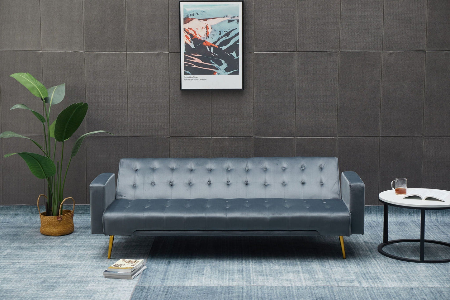 Comfort Compact Design Sofa Bed