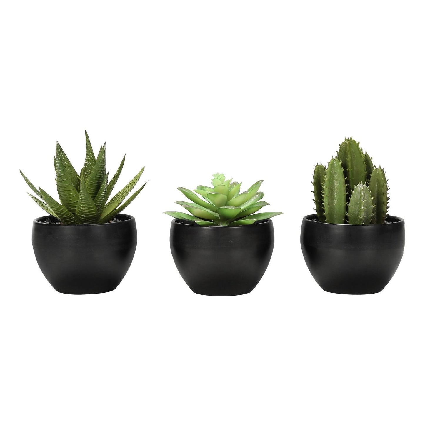 Artificial Succulent Plants (Set of 3)