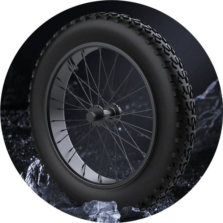 EKX X21 Adults Electric Bike 2000W 48V35AH 55km/h Lithium Battery Snow Electric Motorcycles 20“*4.0 Off Road Tyre Mountain Ebike