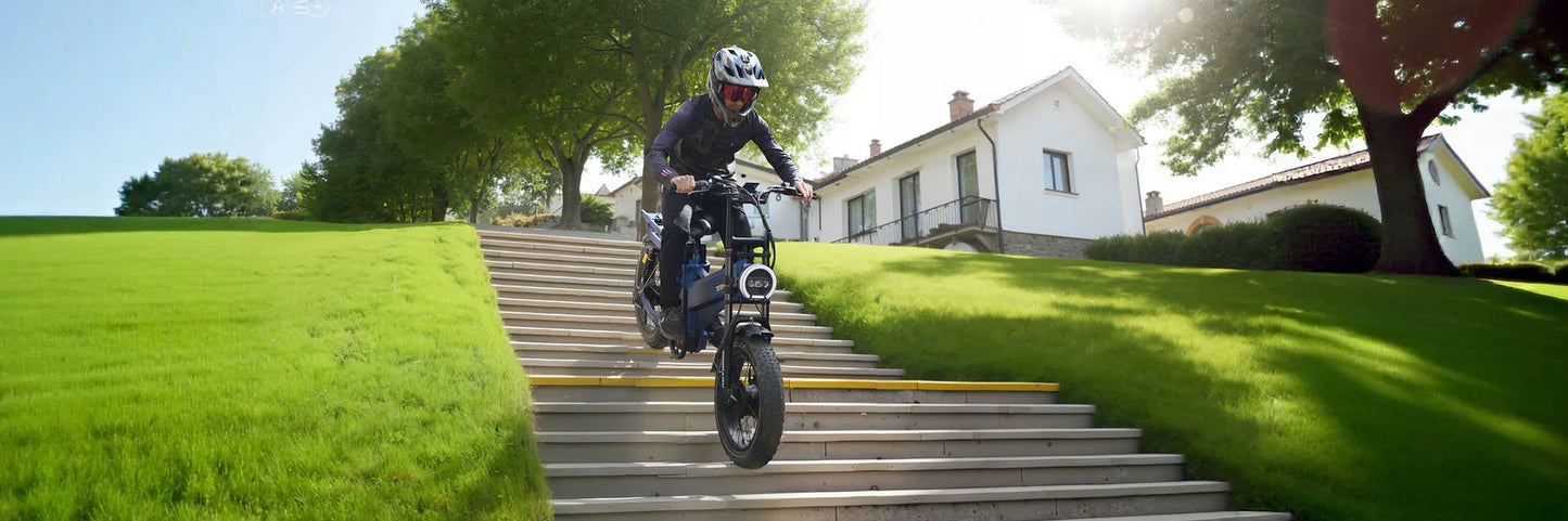 Tesway X7 AWD Step-Over Electric Bike 3600 Dual Motor 200NM Torque