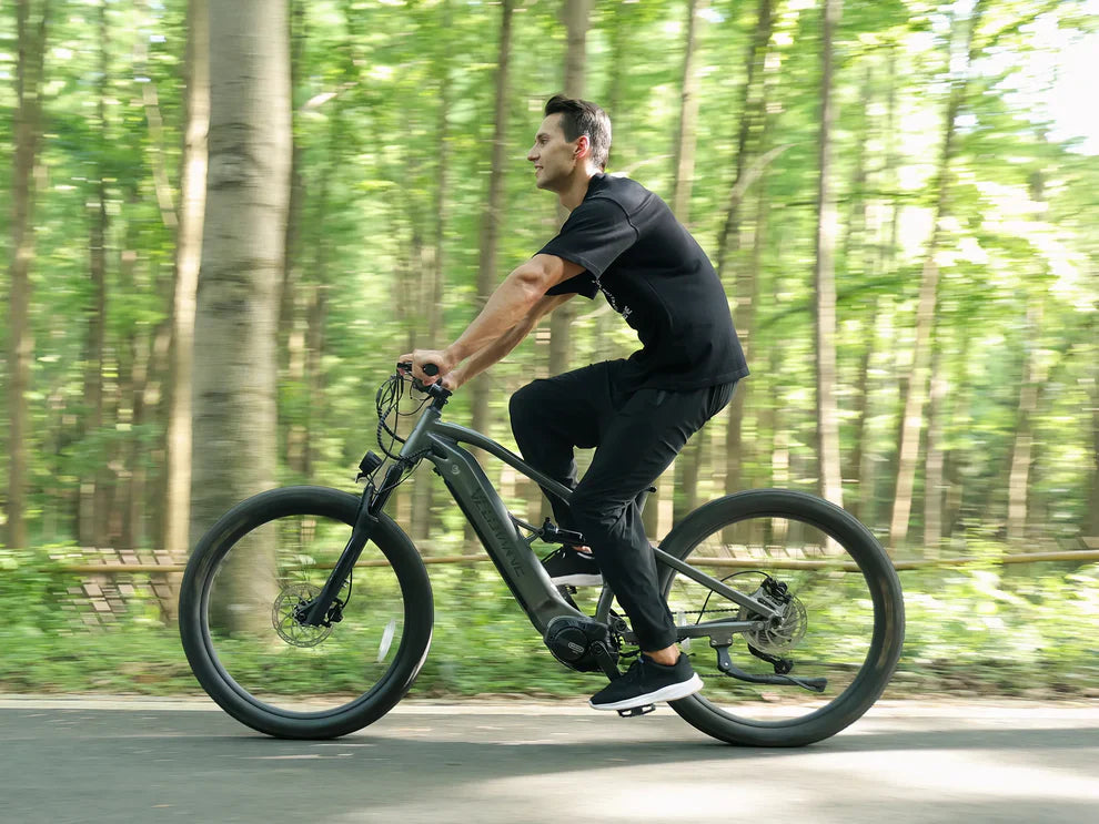 Velowave Forest SM Mountain Electric Bike