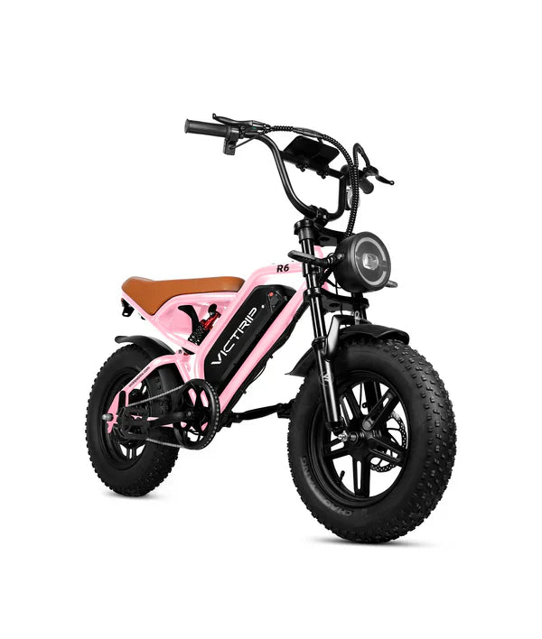 Victrip R6 Off Road E-Bike