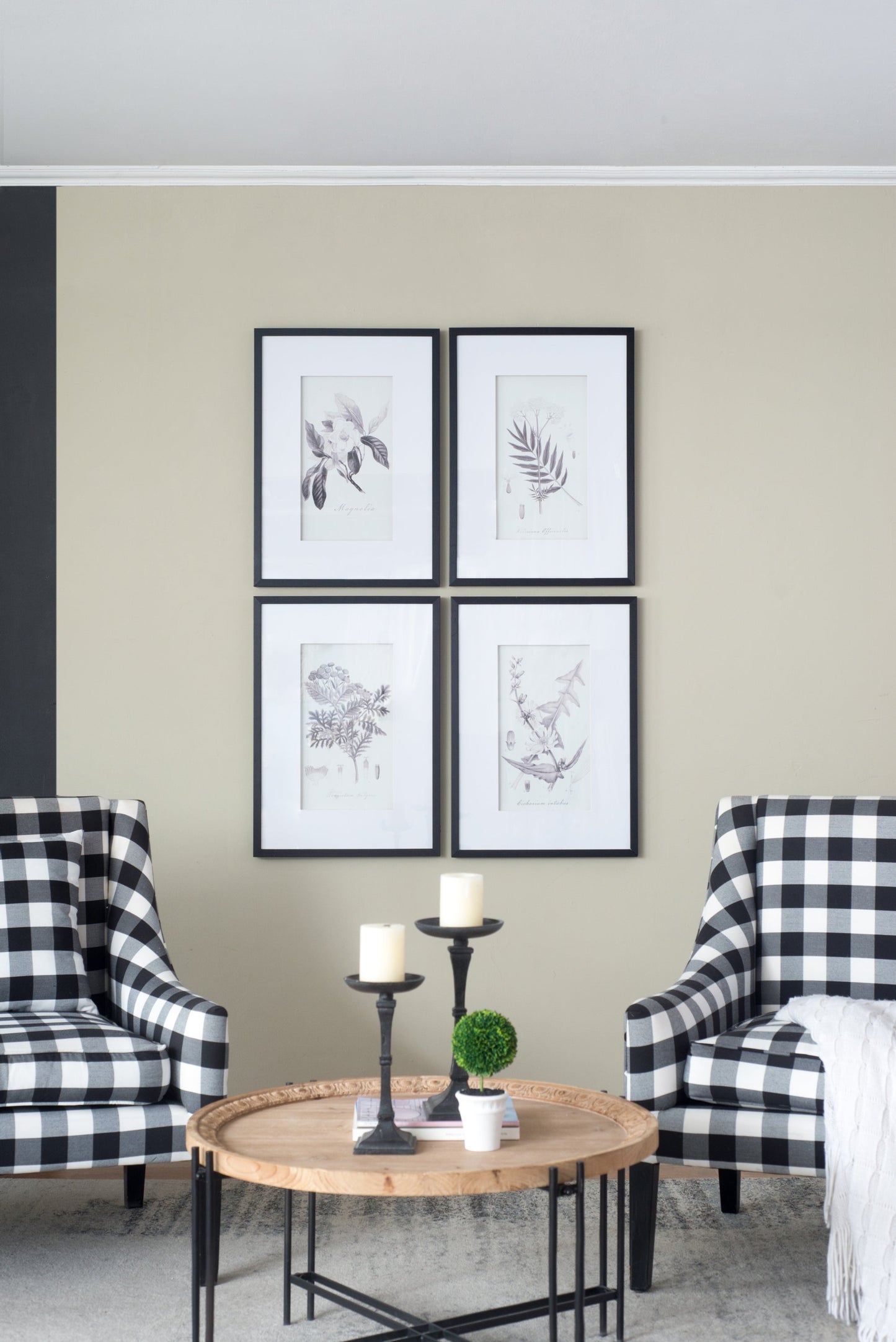Verdura Botanica: Four-Print Houseplant Pencil Art Set