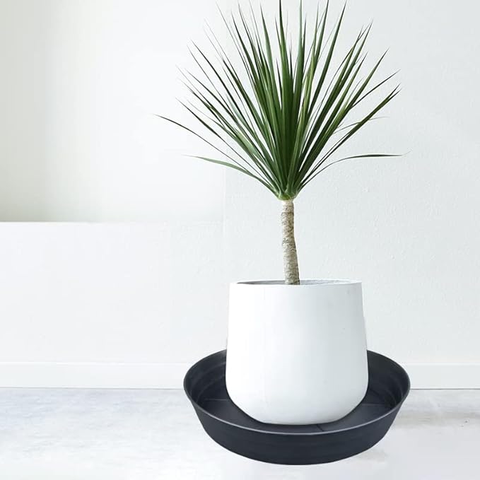 16 Inch Large Plant Saucers, Extra-Deep 2.3 in Black Drip Trays for Flower Pot, Heavy Duty Drainage Tray for Indoors No Holes, 4 Pack Plastic Planter Plate Water Catcher for Pots Base 12 13 14 in