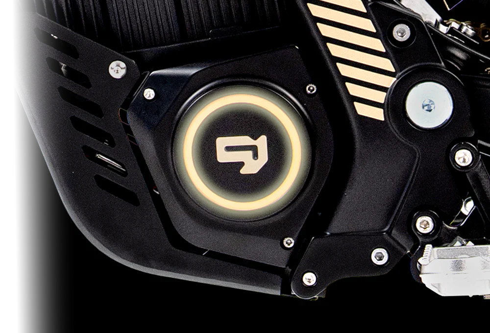 79BIKE Lynx Electric Dirt Bike